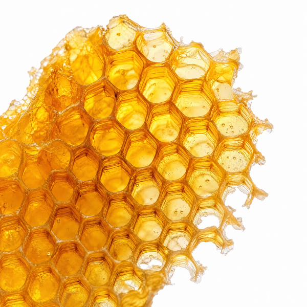 Anhydrous Beeswax Base